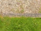 image of grave number 808320
